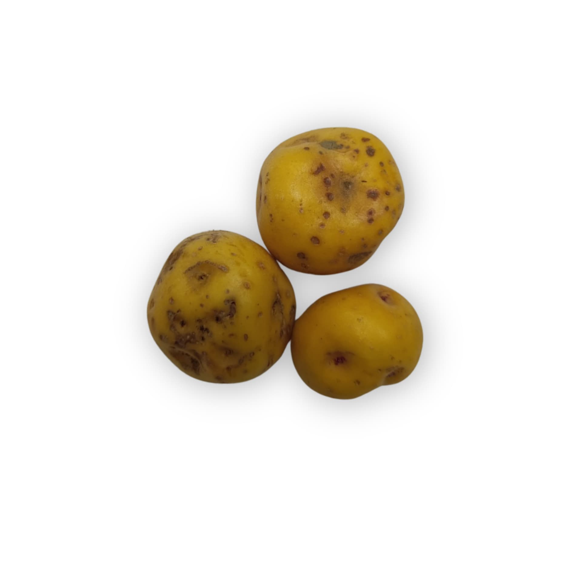 PAPA COLOMBIANA  1KG foto