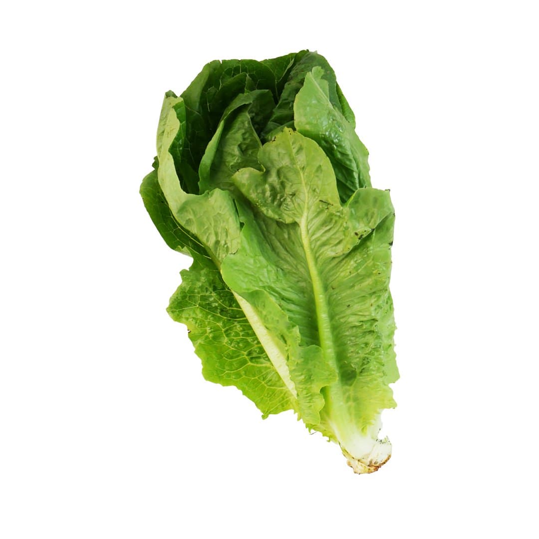 LECHUGA ROMANA 1KG foto